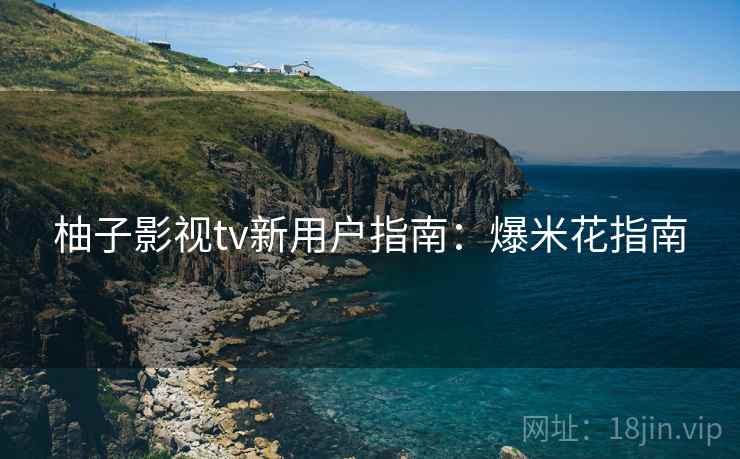 柚子影视tv新用户指南：爆米花指南