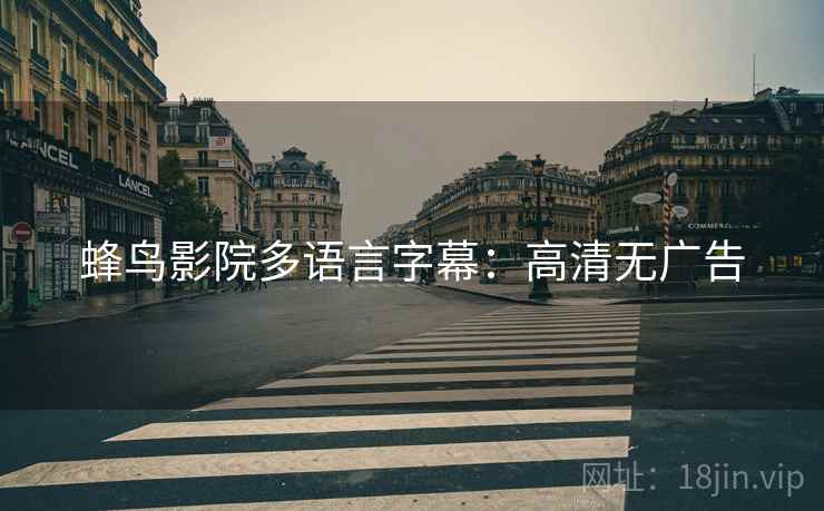 蜂鸟影院多语言字幕：高清无广告