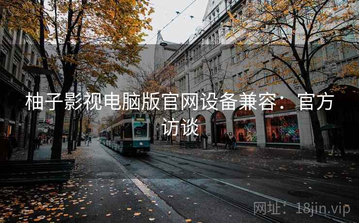 柚子影视电脑版官网设备兼容：官方访谈